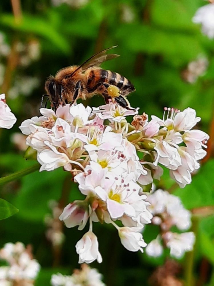 Photograph by Dita Lapinska