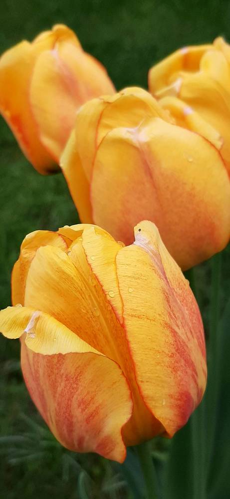 Photograph by Arkadij Frejdlin