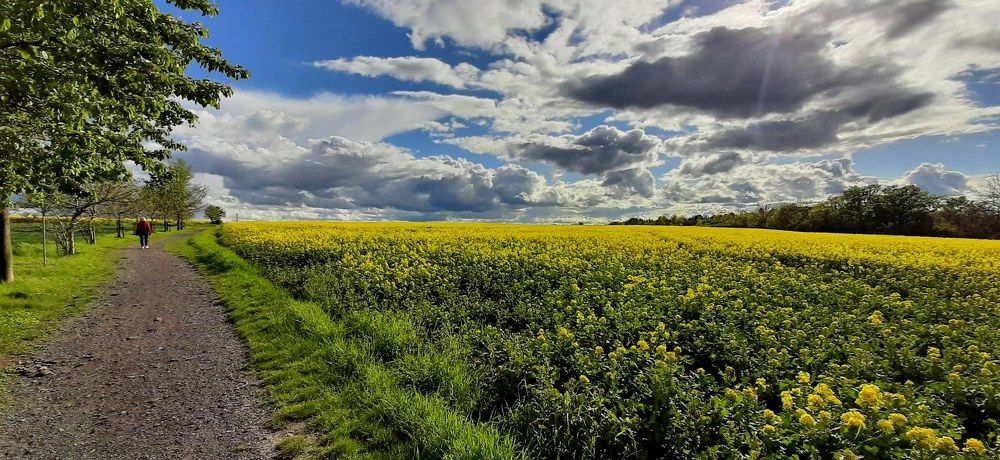 Photograph by Arkadij Frejdlin