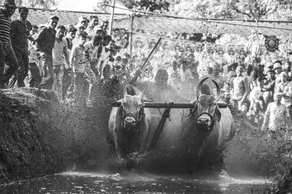 Chikhali Gutta - Mud Race