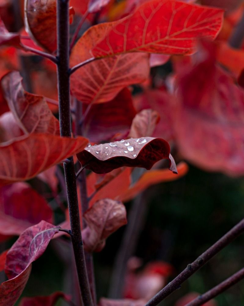 Photograph by Усатый Александр