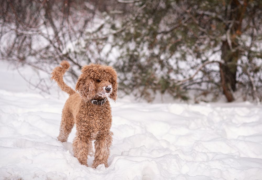 Photograph by Юлия Борт