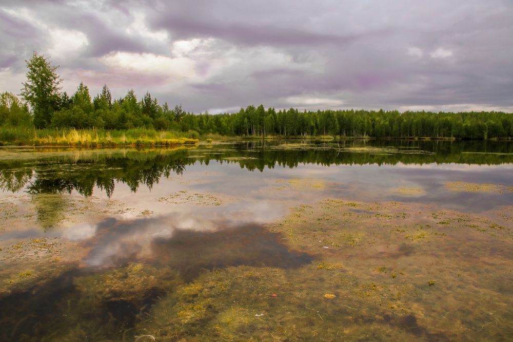 Photograph by федотов Алексей