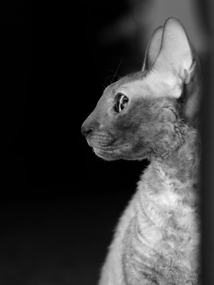 Photograph by Елена Данилова