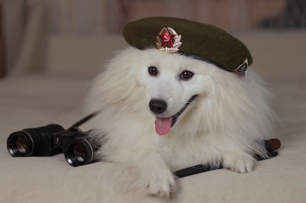 Photograph by федотов Алексей