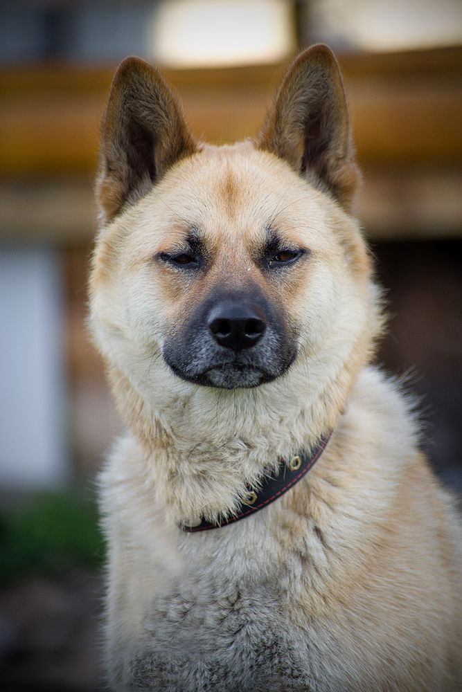 Photograph by Константин Гудков