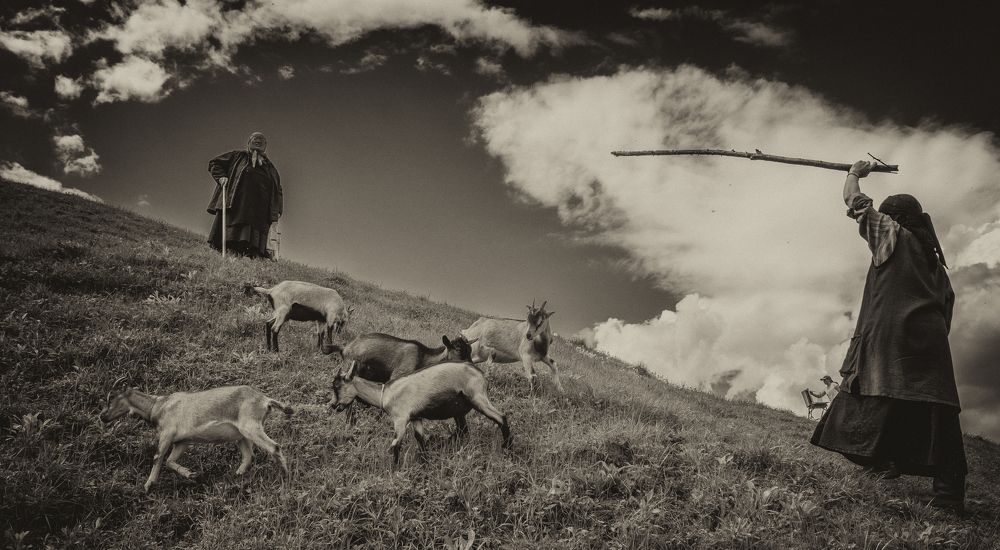 Photograph by Vitaly  Podgurchenko