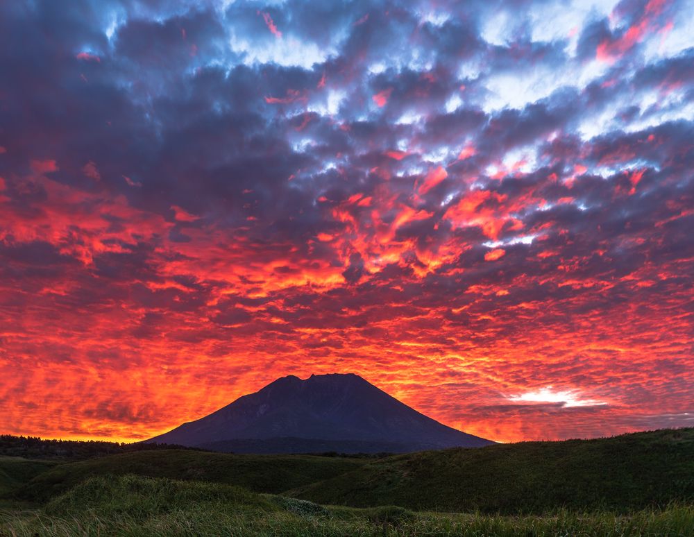 Photograph by Крицак Ольга