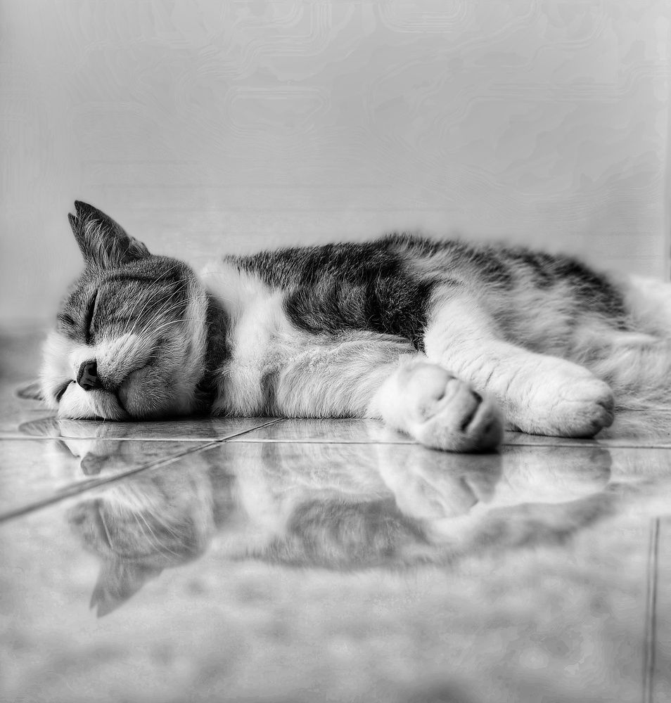 Photograph by Rizal Aditiawarman