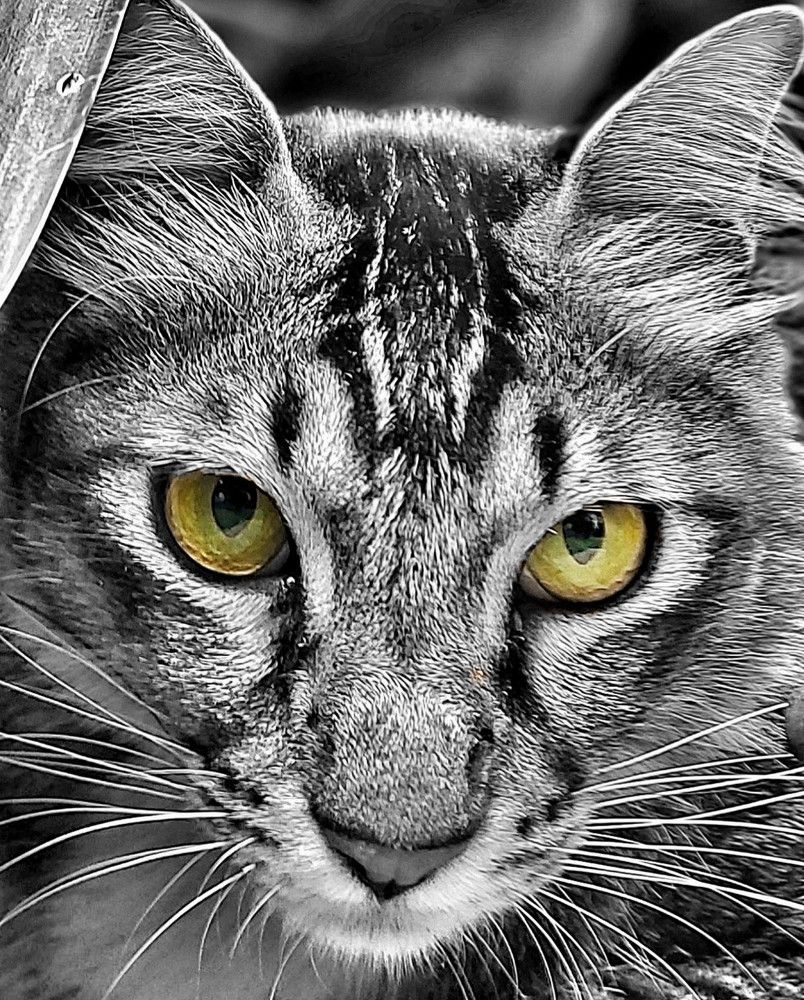 Photograph by Rizal Aditiawarman