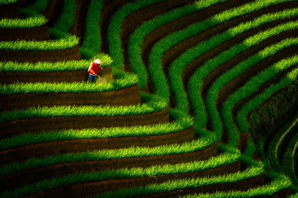 Photograph by Agun Priyatna