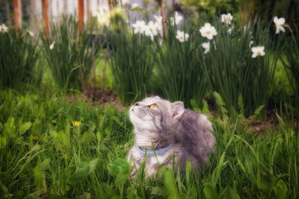 Photograph by ОЛЬГА КОВАЛЁВА