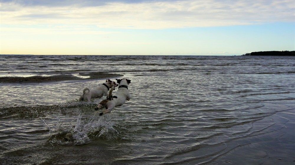 Photograph by Andrei Baburin