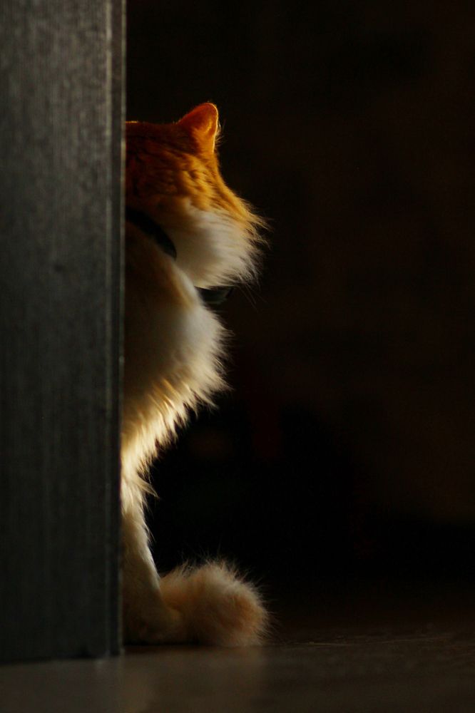 Photograph by Наталья