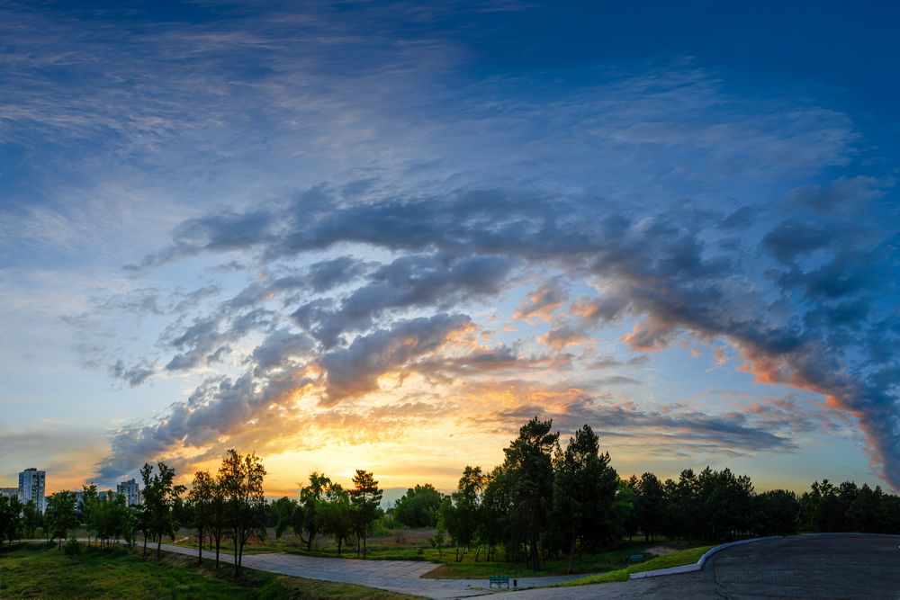 Кудрявая арка