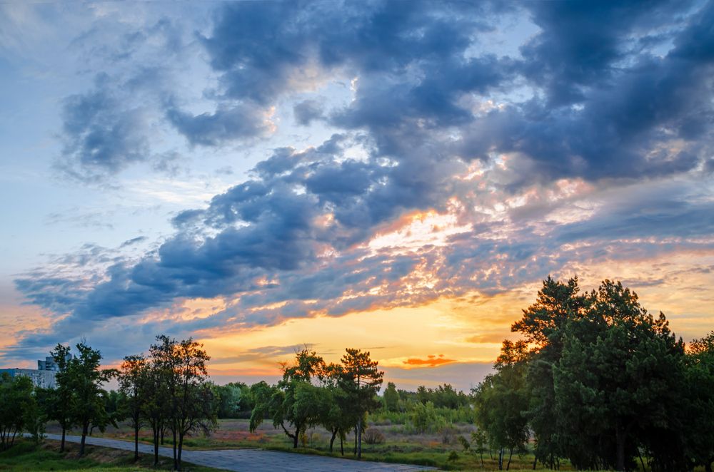 Кудрявый рассвет