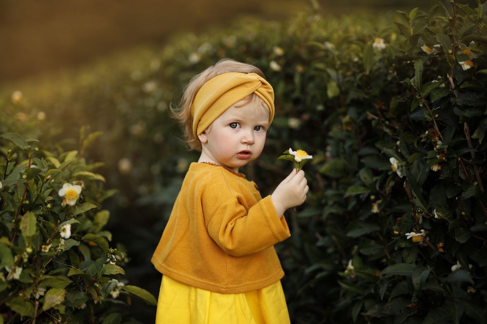 Photograph by Склярова Анастасия