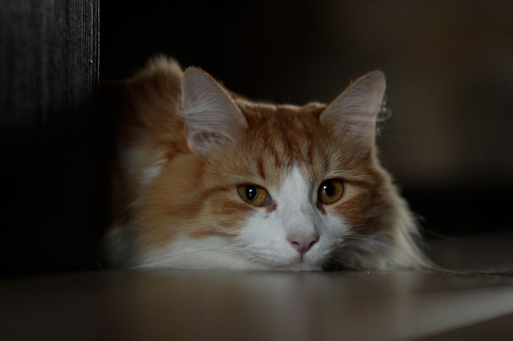 Photograph by Наталья