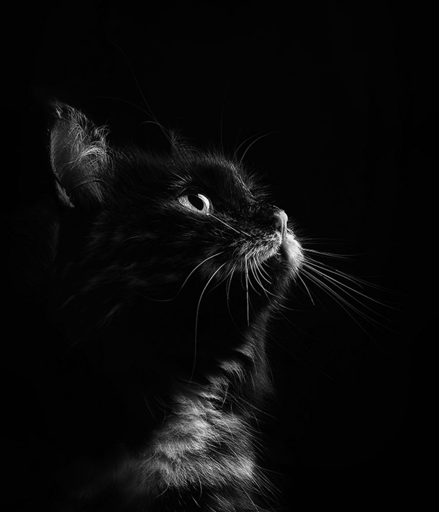 Photograph by fashionfoodfoto