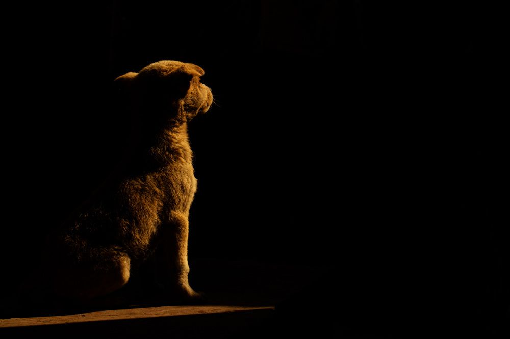 Photograph by Shrvan Mandal