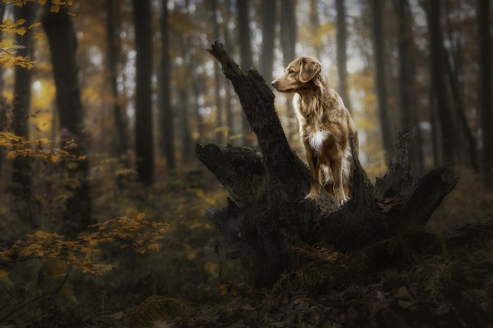 Photograph by Jacqueline Ruediger