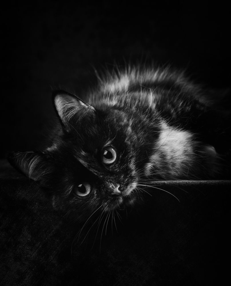 Photograph by fashionfoodfoto