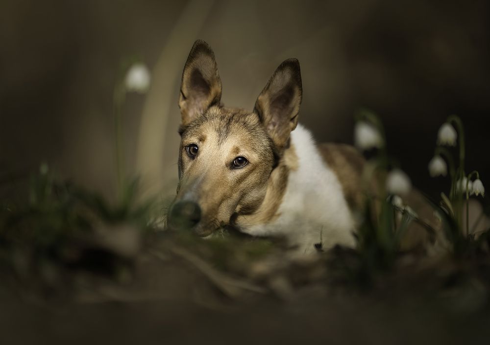 Photograph by Jacqueline Ruediger