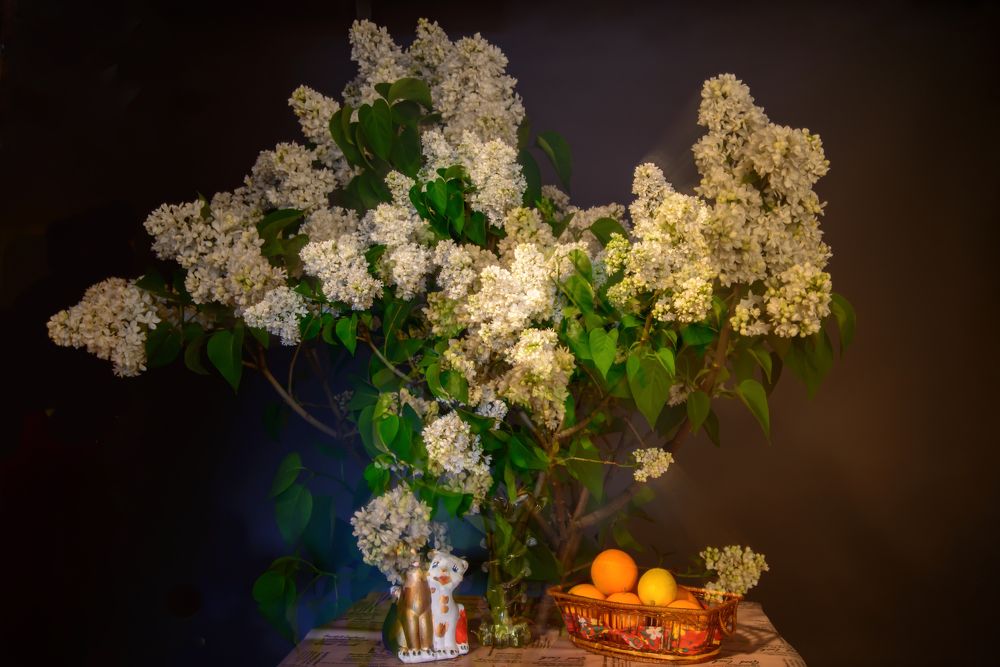 Сирень запахла , цветами белыми влюбляя