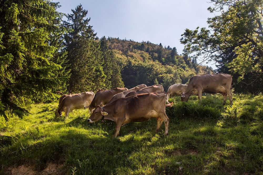 Photograph by Ирина Шумахер