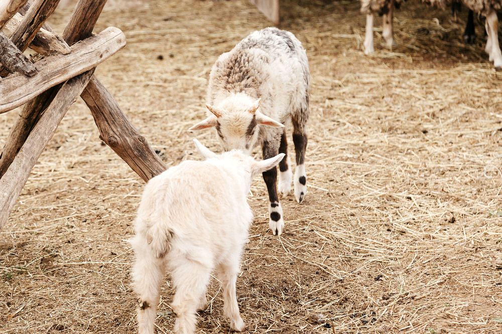 Фотография автора Анастасия Яковлева