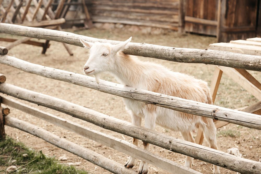 Фотография автора Анастасия Яковлева
