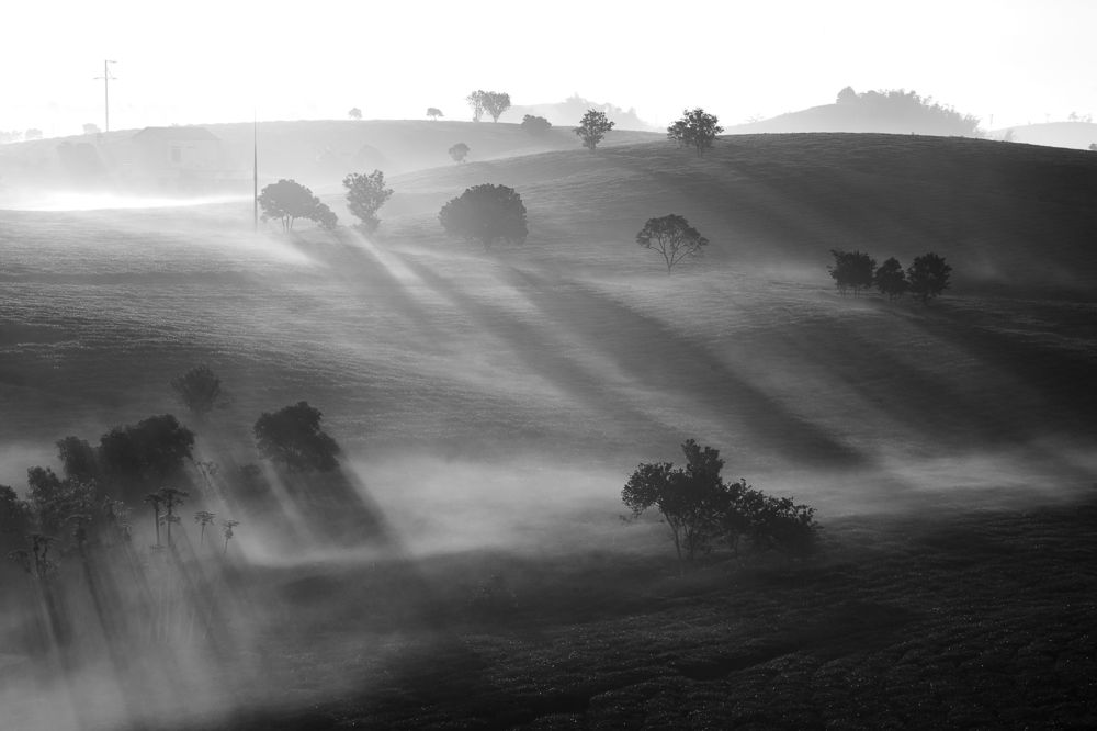 Photograph by Lê Anh Ngọc