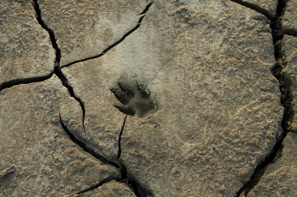 Photograph by Алексей Киселев