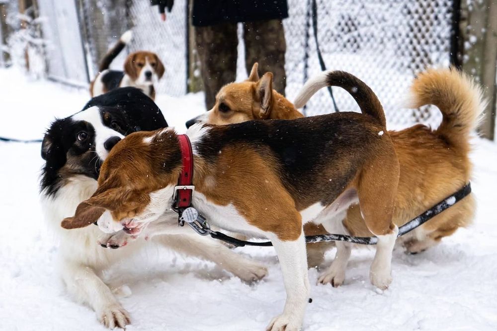 Photograph by Галина Аскольдовна Луковникова