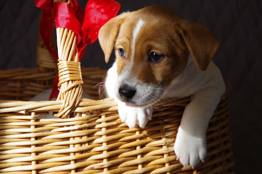 Photograph by Andrei Baburin