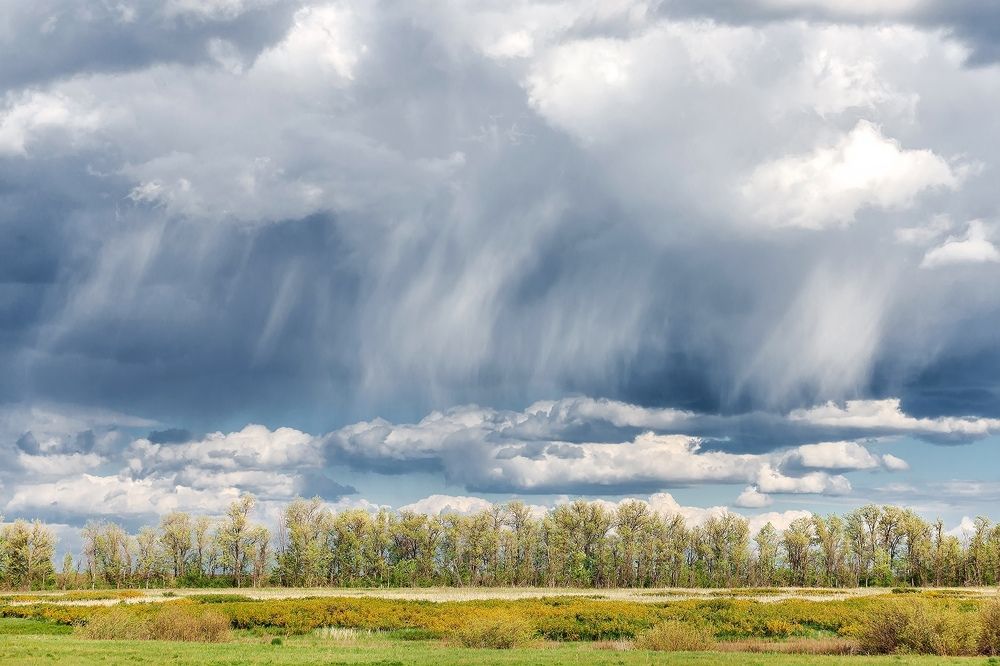 Photograph by Владимир Салапонов