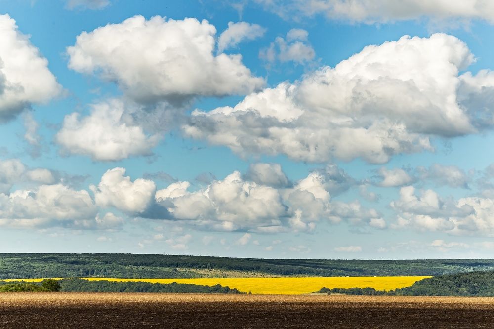 Photograph by Владимир Салапонов