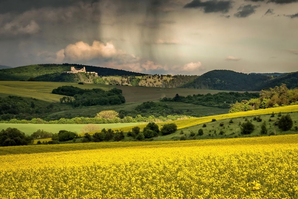 Photograph by Radoslav Garec