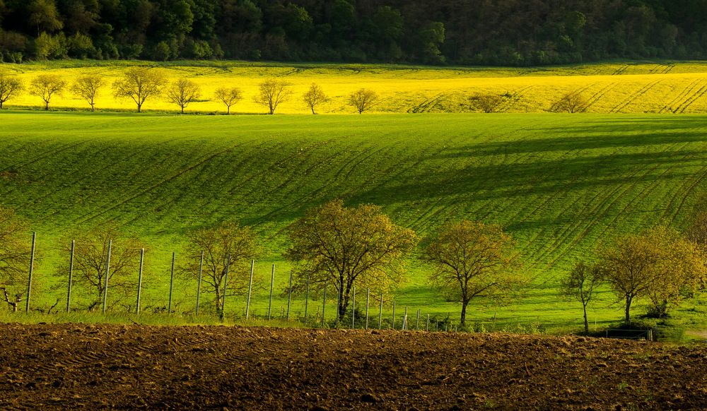 Photograph by Radoslav Garec