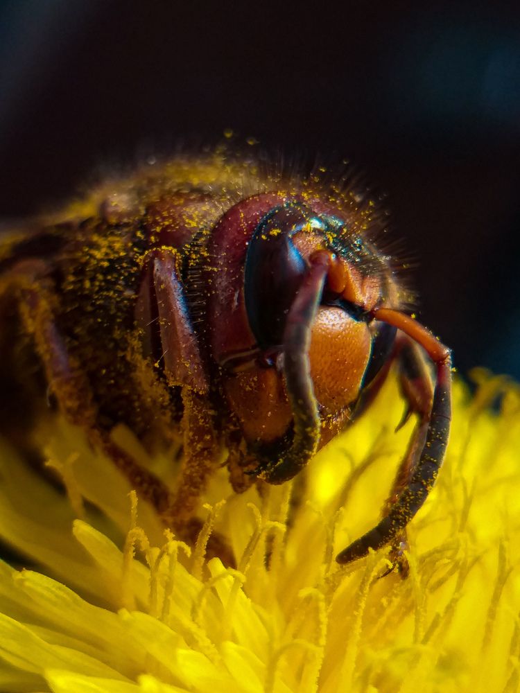 Photograph by Наташа Черепенина