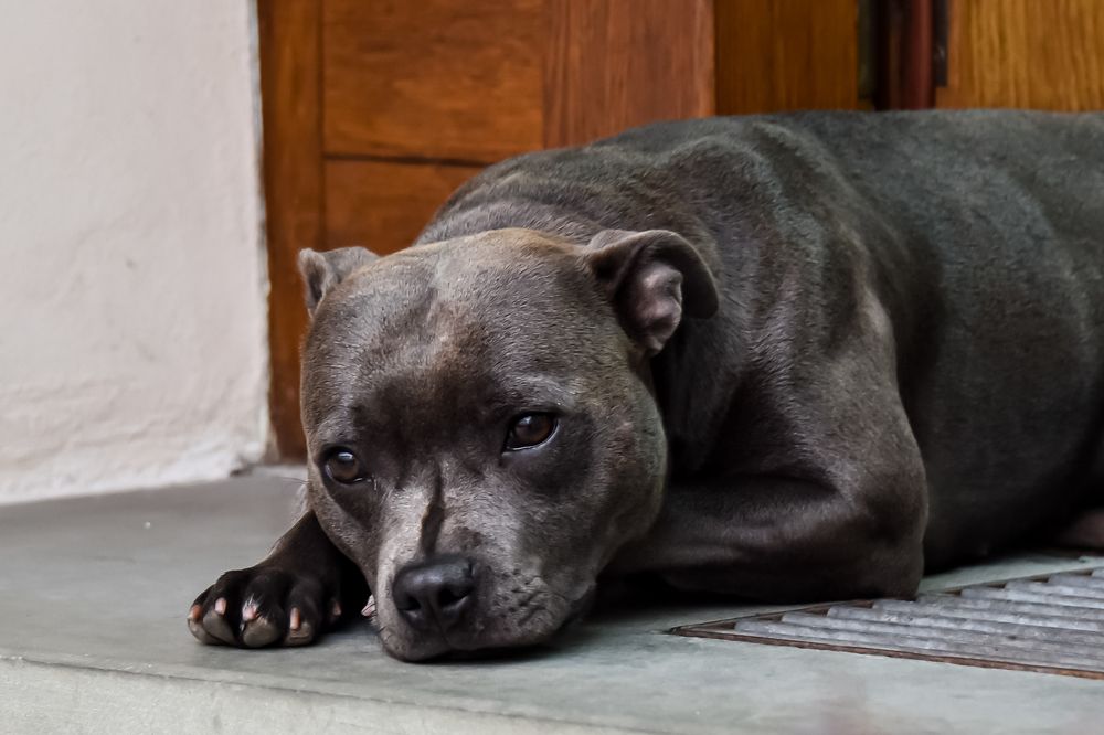 Photograph by Наталия Березина