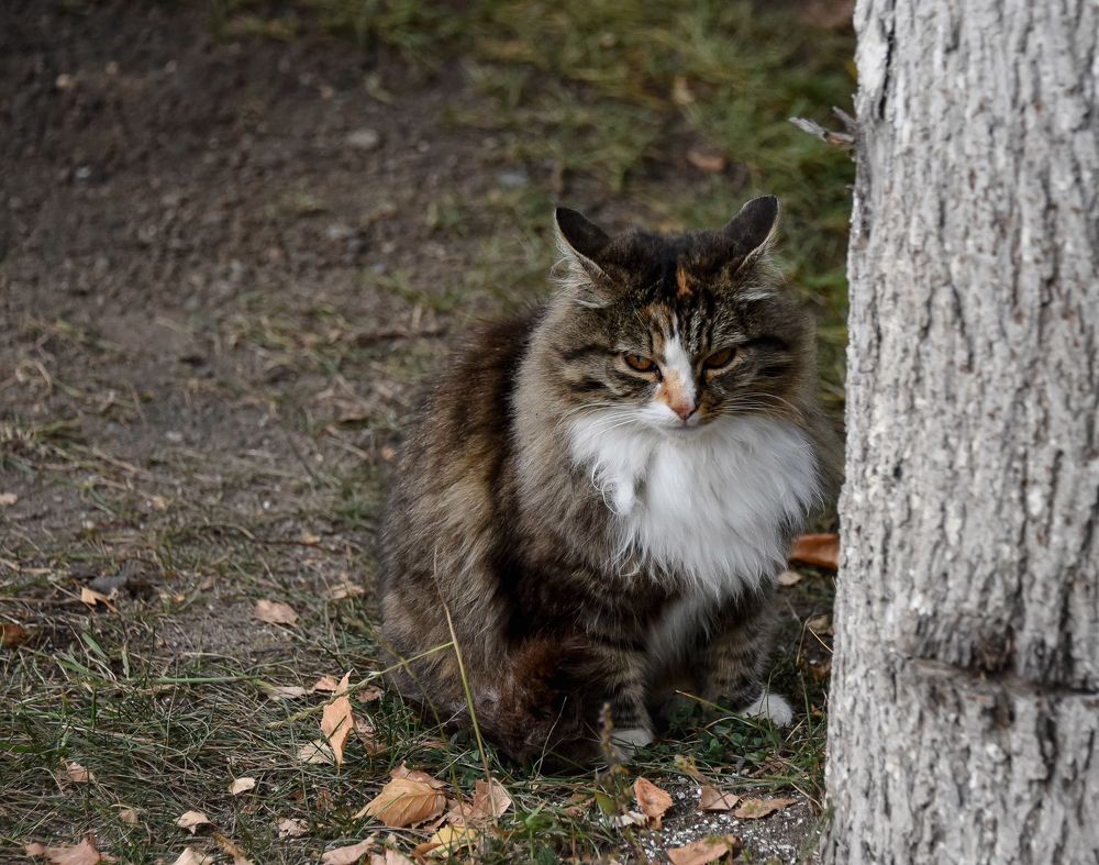 Photograph by Наталия Березина