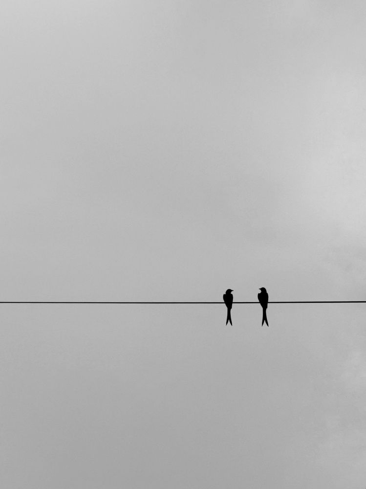 Photograph by Sujoy Das