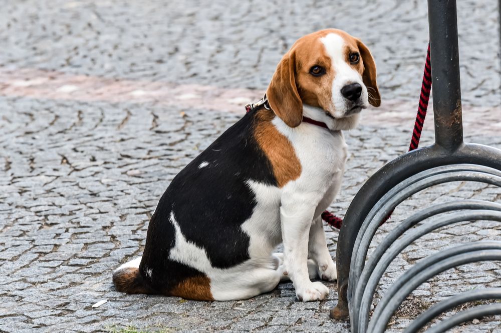 Photograph by Наталия Березина