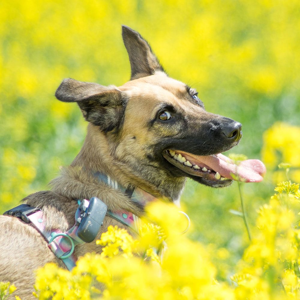 Photograph by Maciej