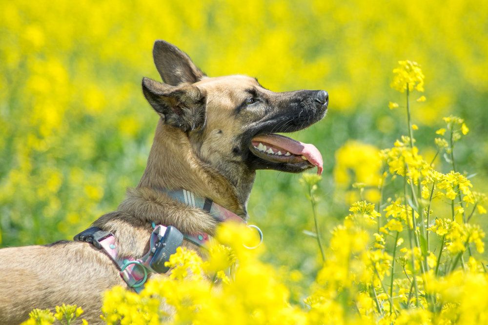 Photograph by Maciej