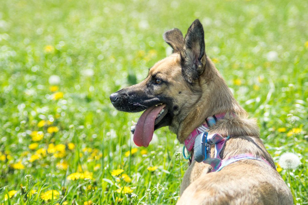 Photograph by Maciej