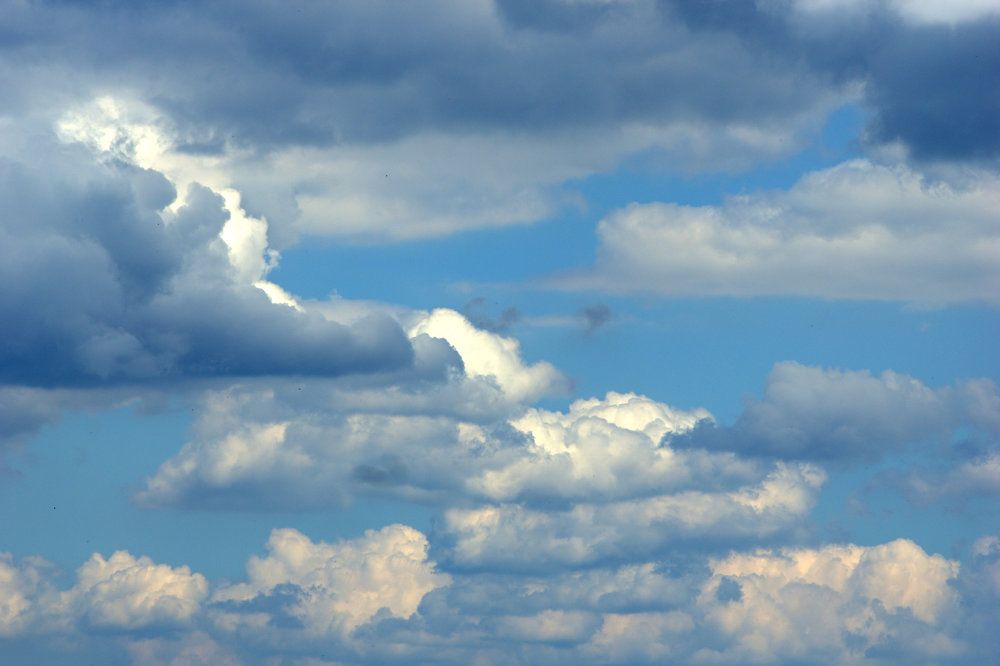 Photograph by Maciej