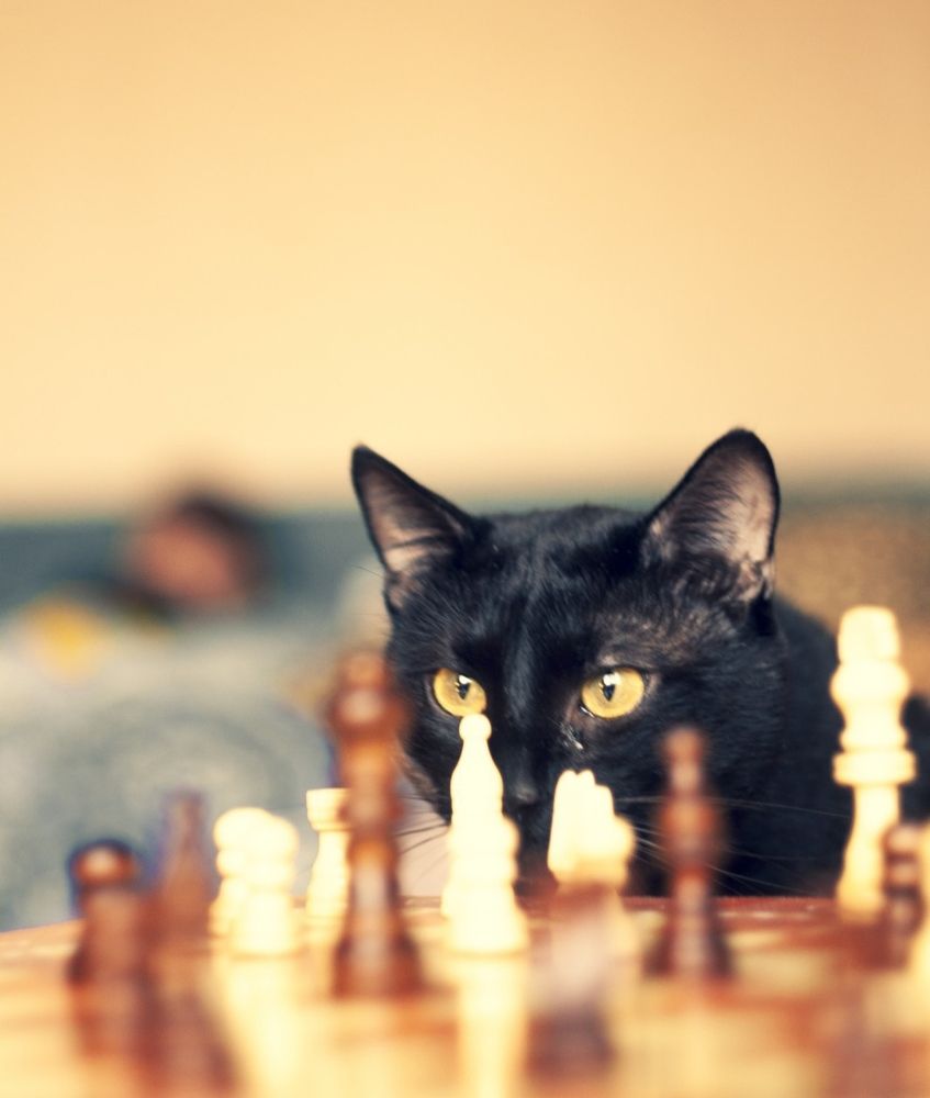 Photograph by Анастасия