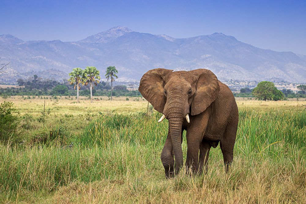 Photograph by Ricardo Ferreira